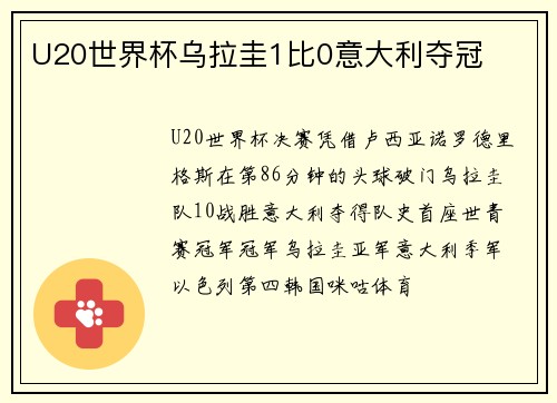 U20世界杯乌拉圭1比0意大利夺冠